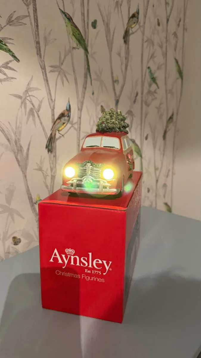 Aynsley Lighting Car Decoration - Image 2