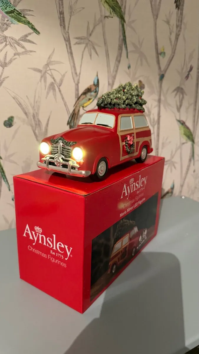 Aynsley Lighting Car Decoration - Image 1