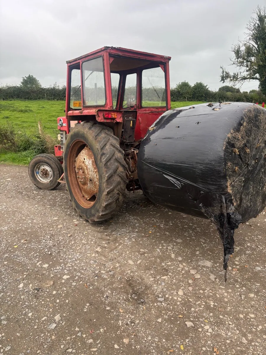 Massey 185 - Image 3