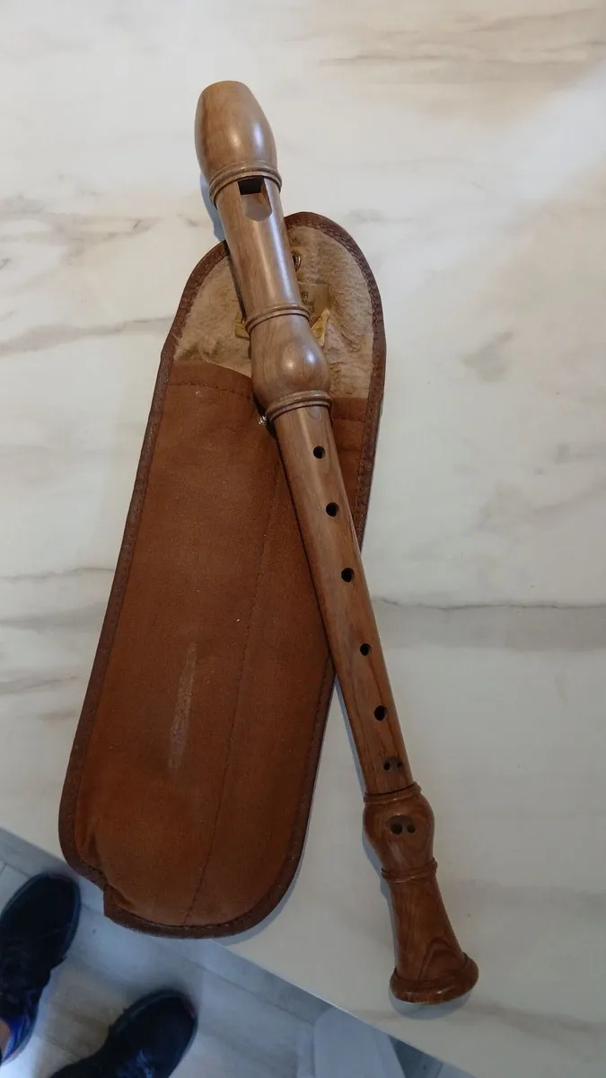 Flute / Recorder/ Melodica - Image 1