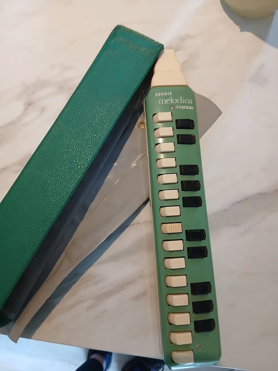 Flute / Recorder/ Melodica - Image 2