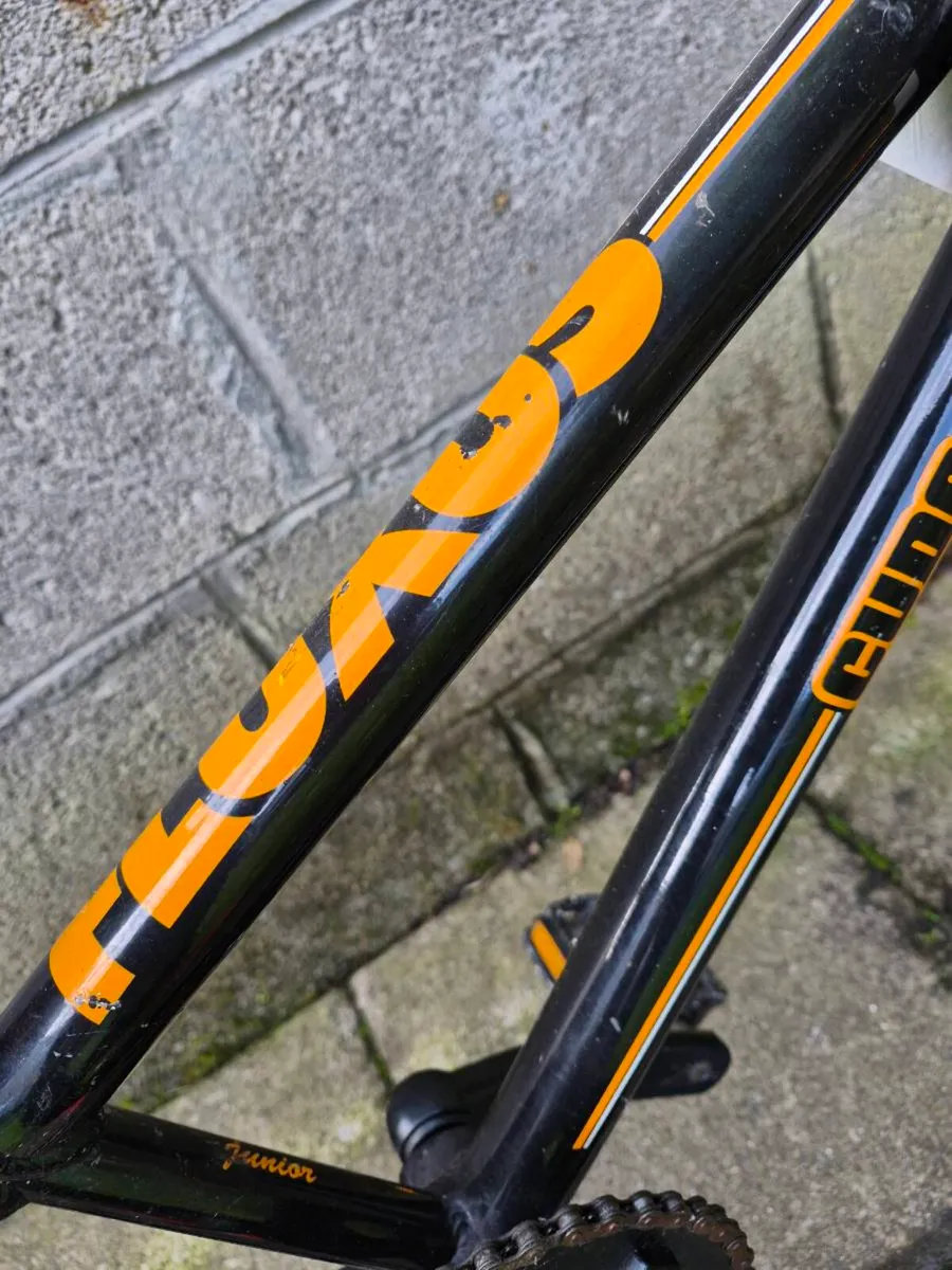 BMX Race Bike JUNIOR Cuda Fluxus - Image 4
