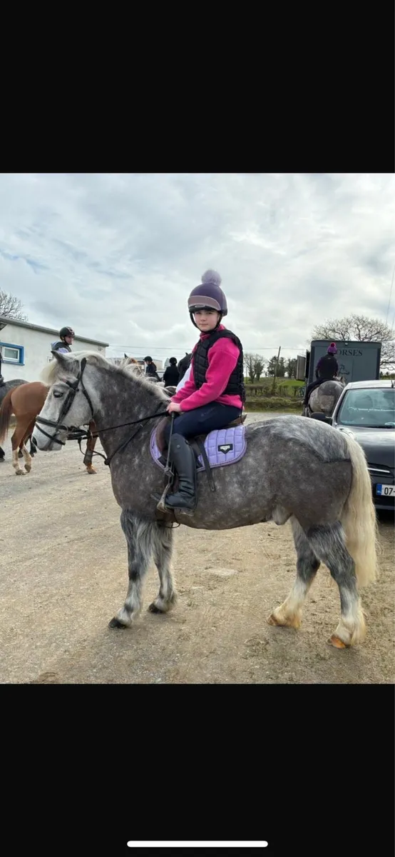 A little super star 11.2hh 10 years - Image 1