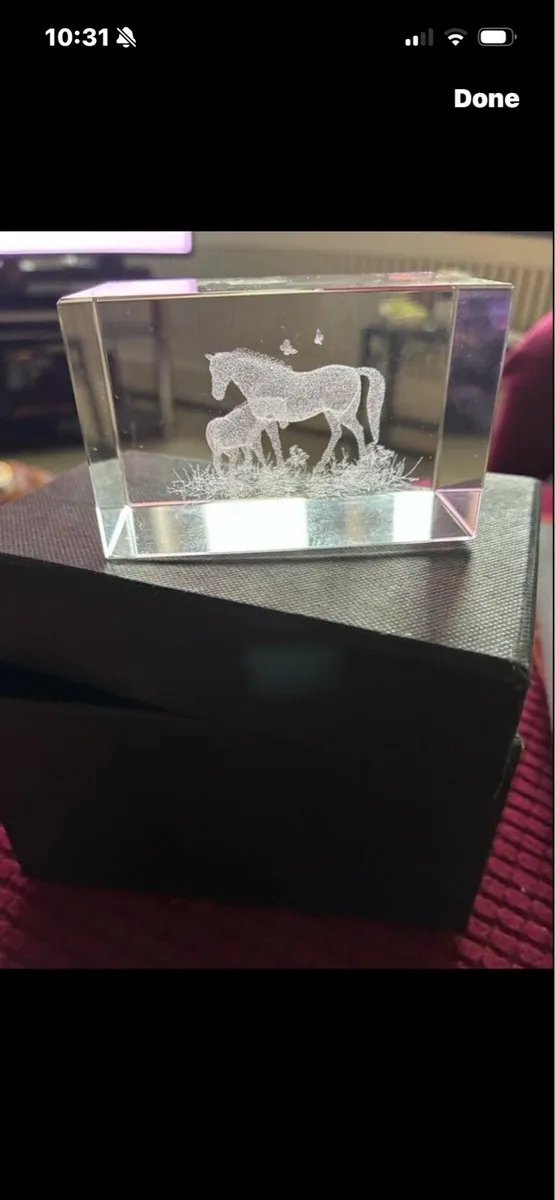 Etched Glass Horse Display/ Paper Weight - Image 1