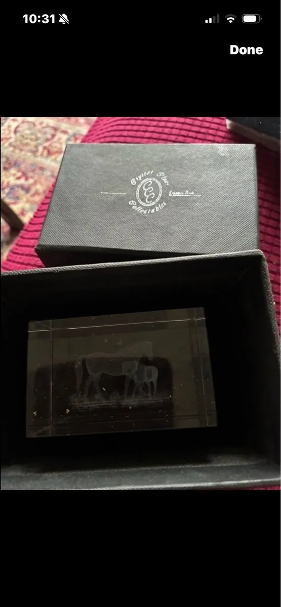 Etched Glass Horse Display/ Paper Weight - Image 3