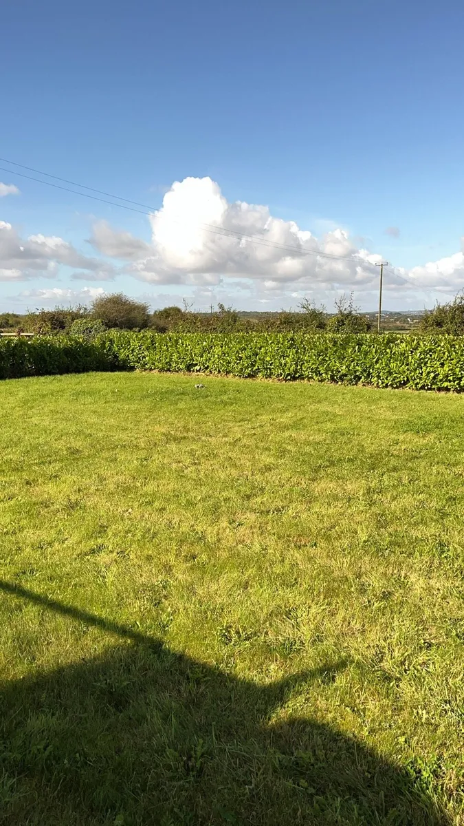 Tree services - Image 3