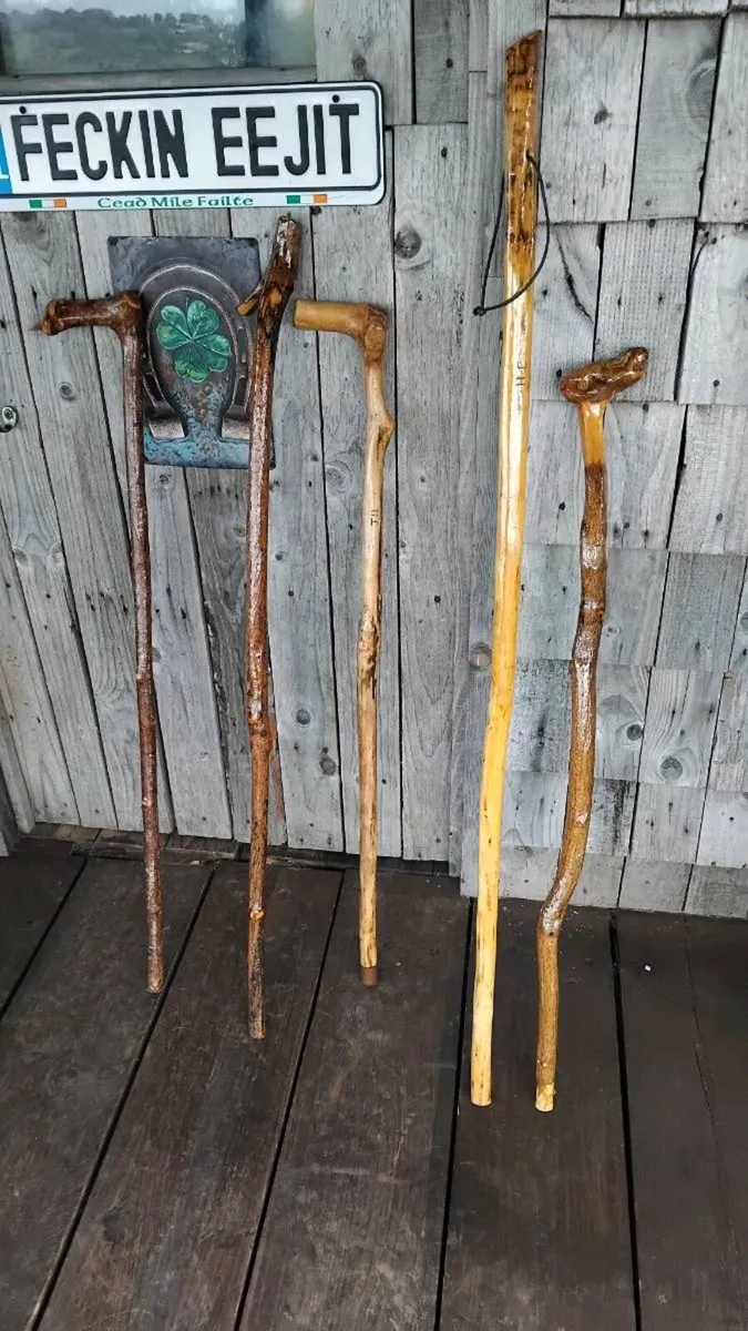 Walking sticks - Image 4