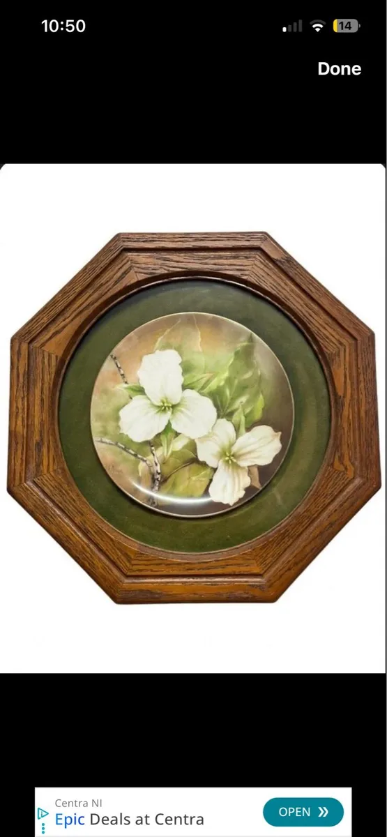 Stunning framed porcelain plate in Oak frame - Image 1
