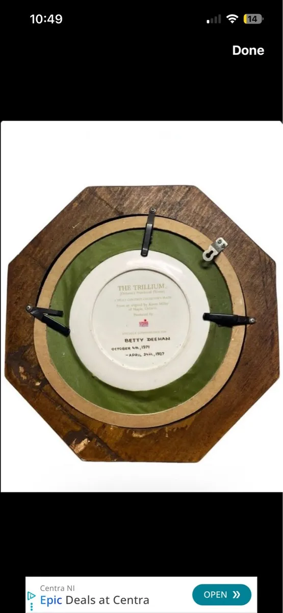 Stunning framed porcelain plate in Oak frame - Image 2