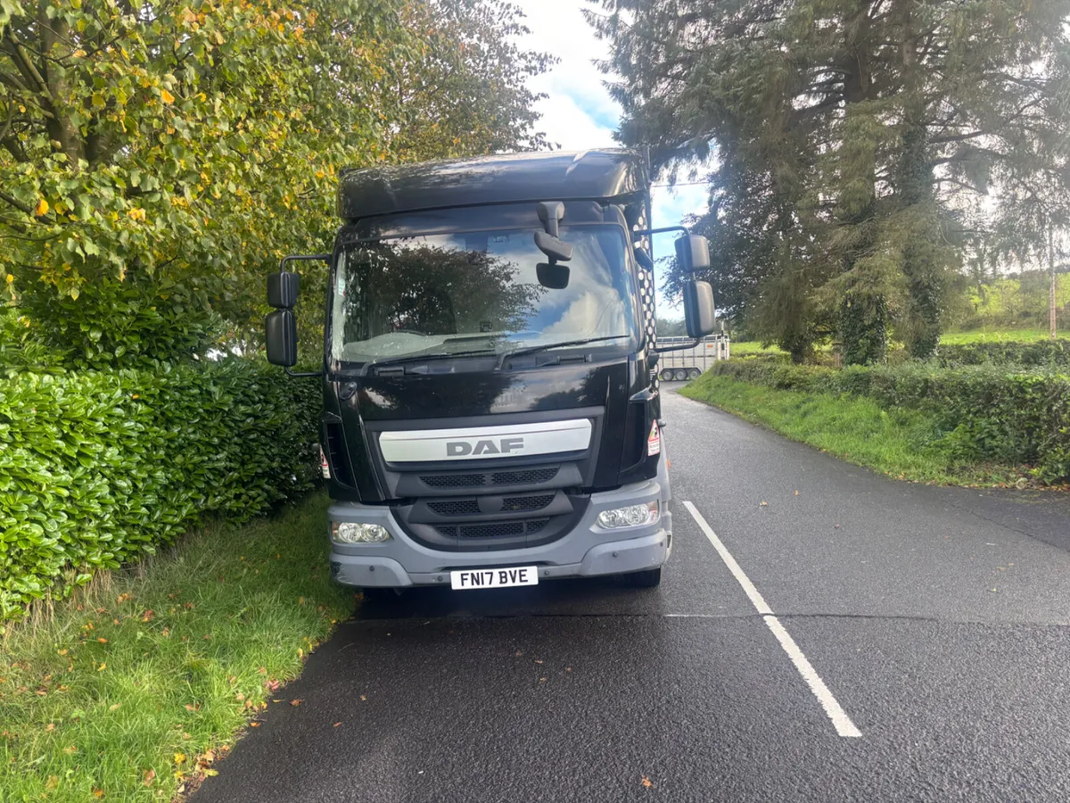 Daf lf 230 - Image 3