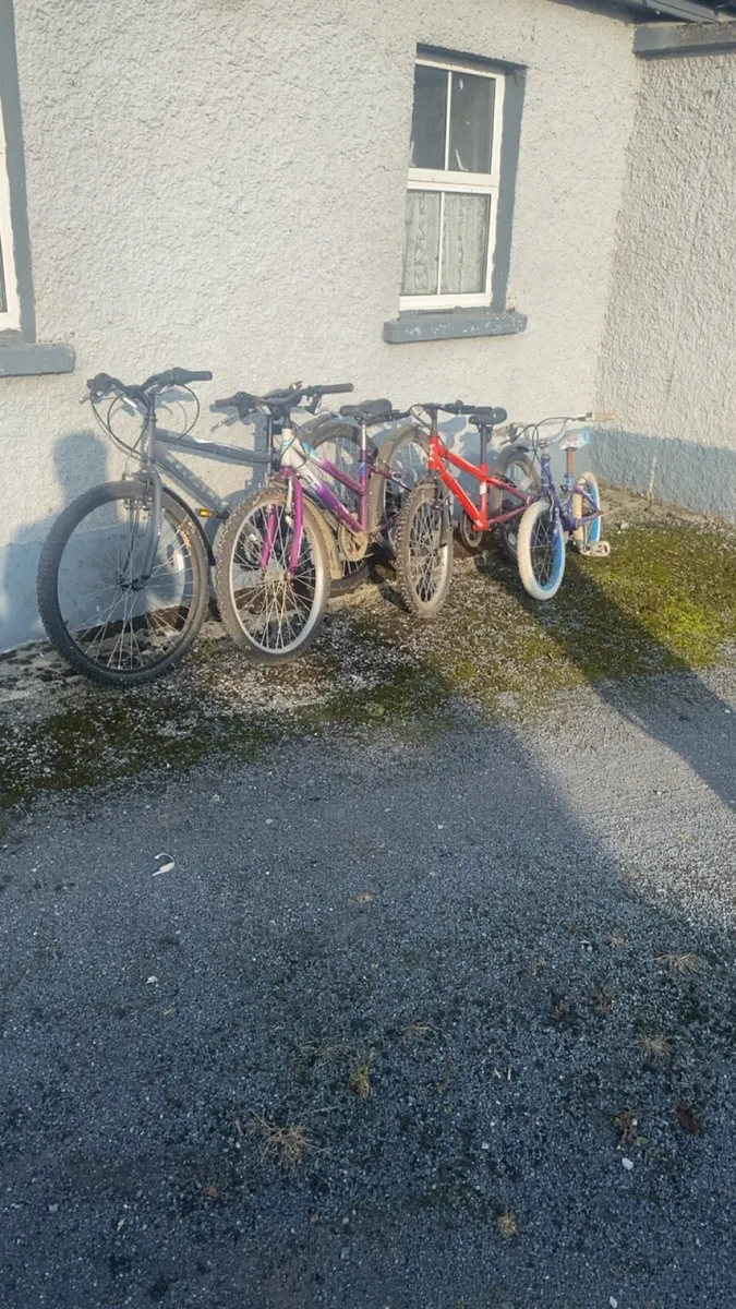 Kids bikes