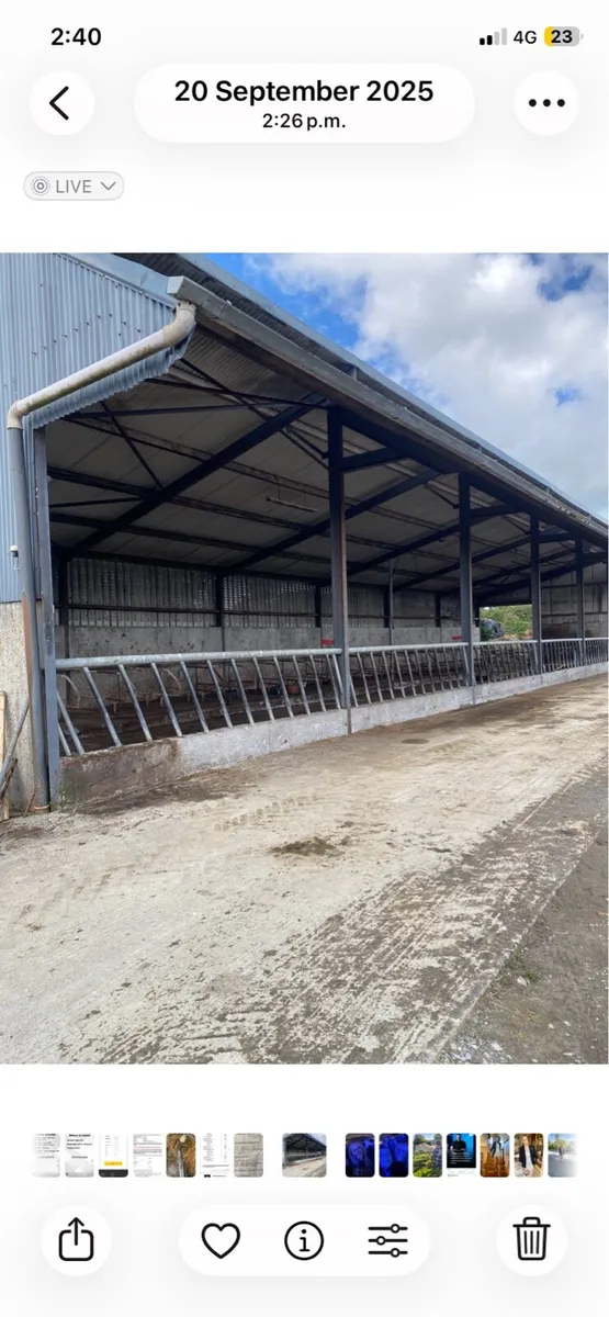 Slatted shed to rent