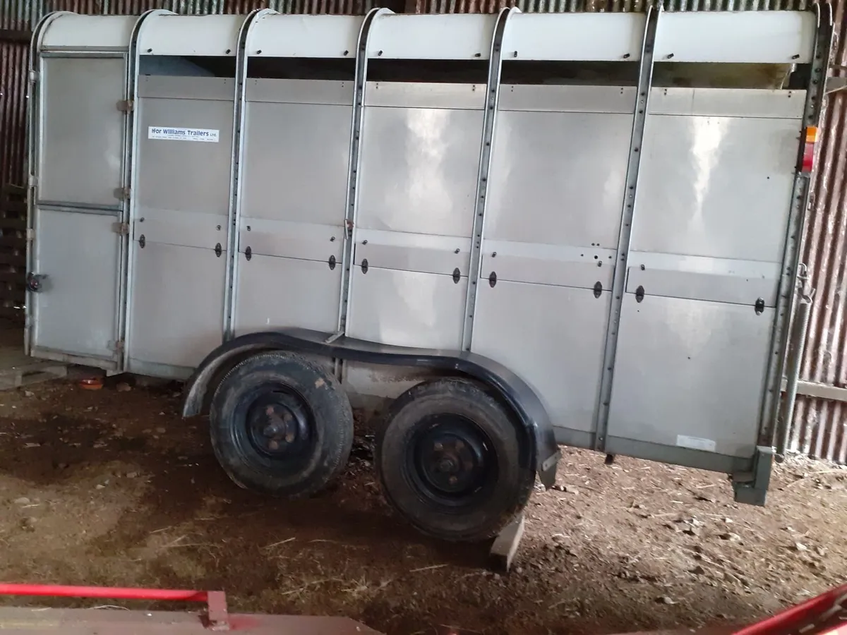 Ifor Williams Cattle trailer