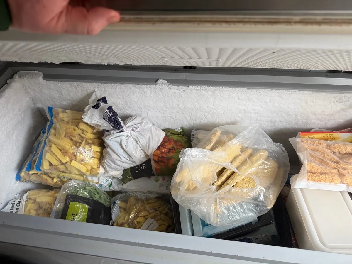 Commercial Chest Freezer x 2 - Image 4