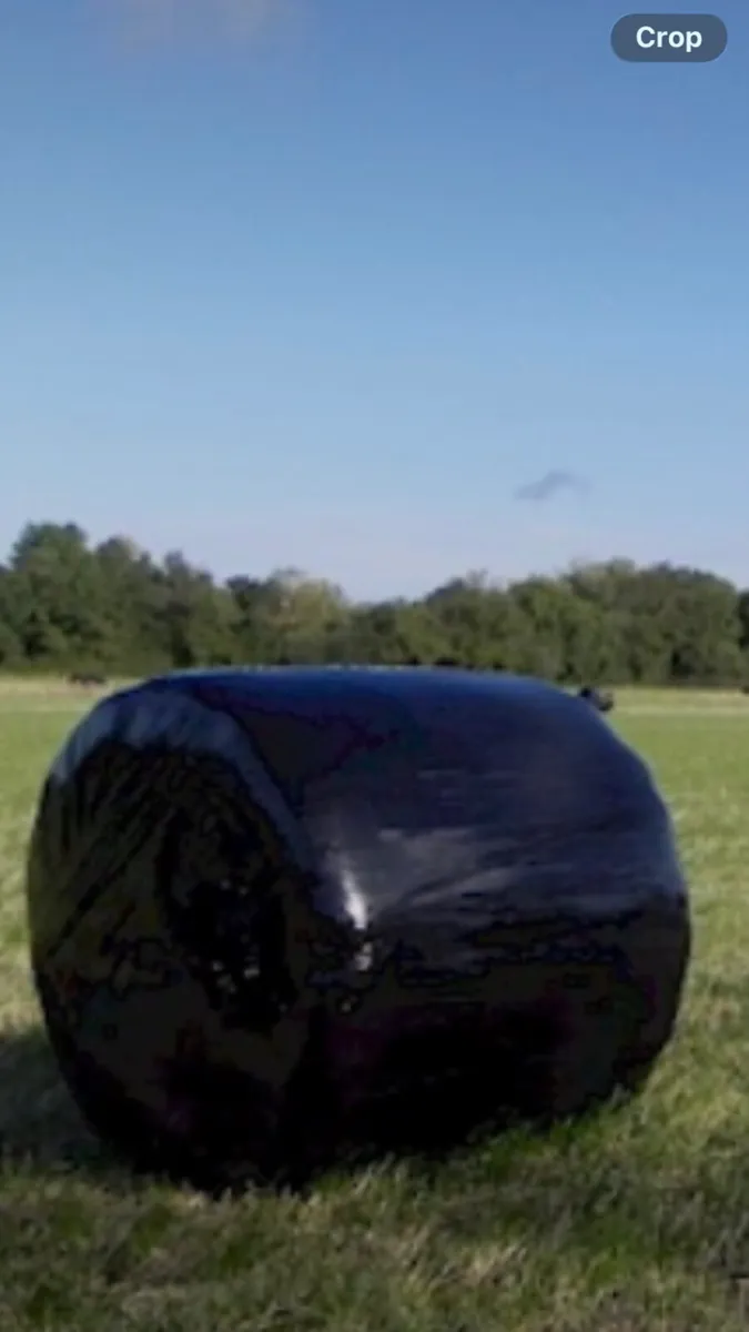 Silage