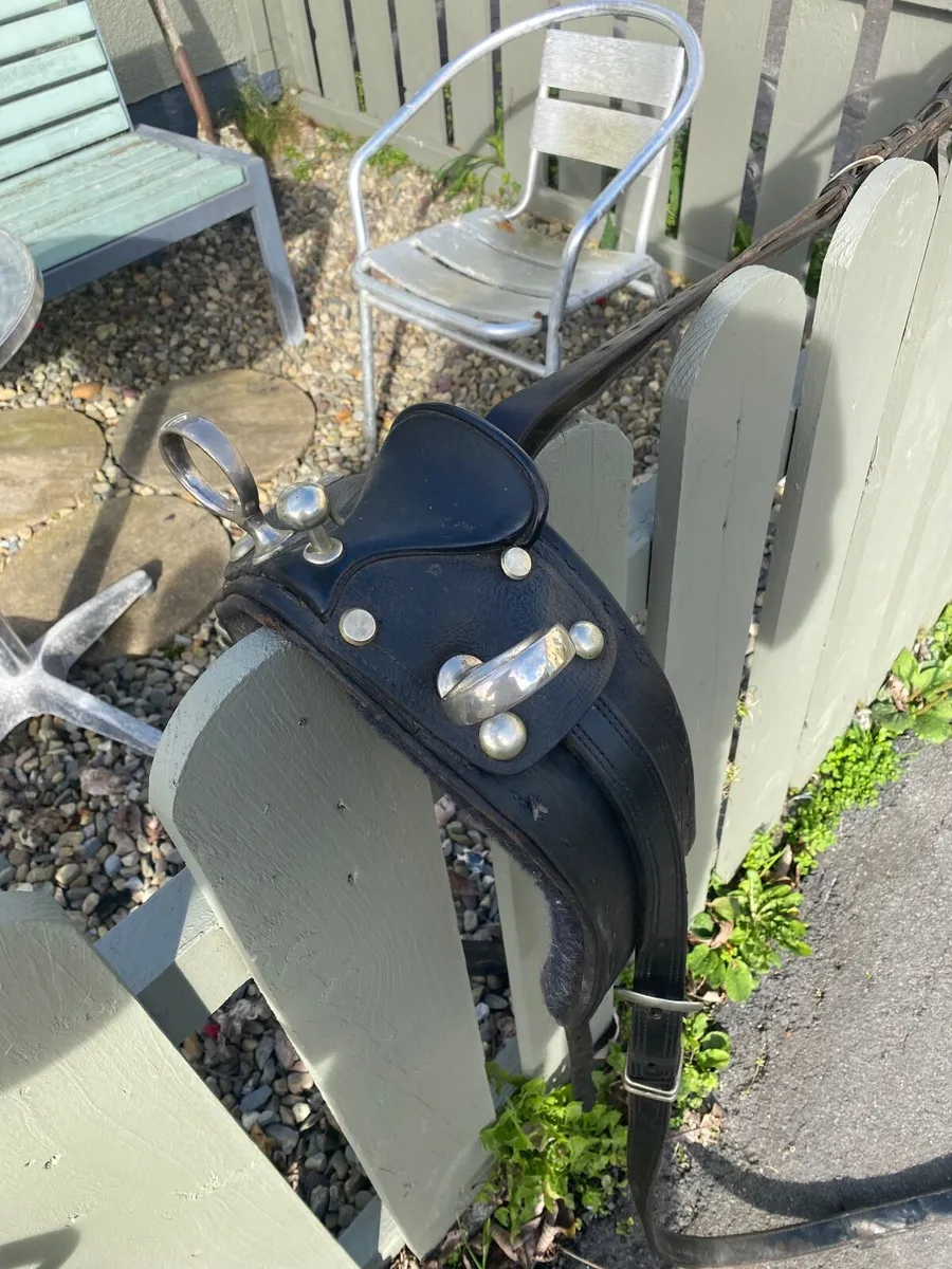 Driveing harness - Image 1