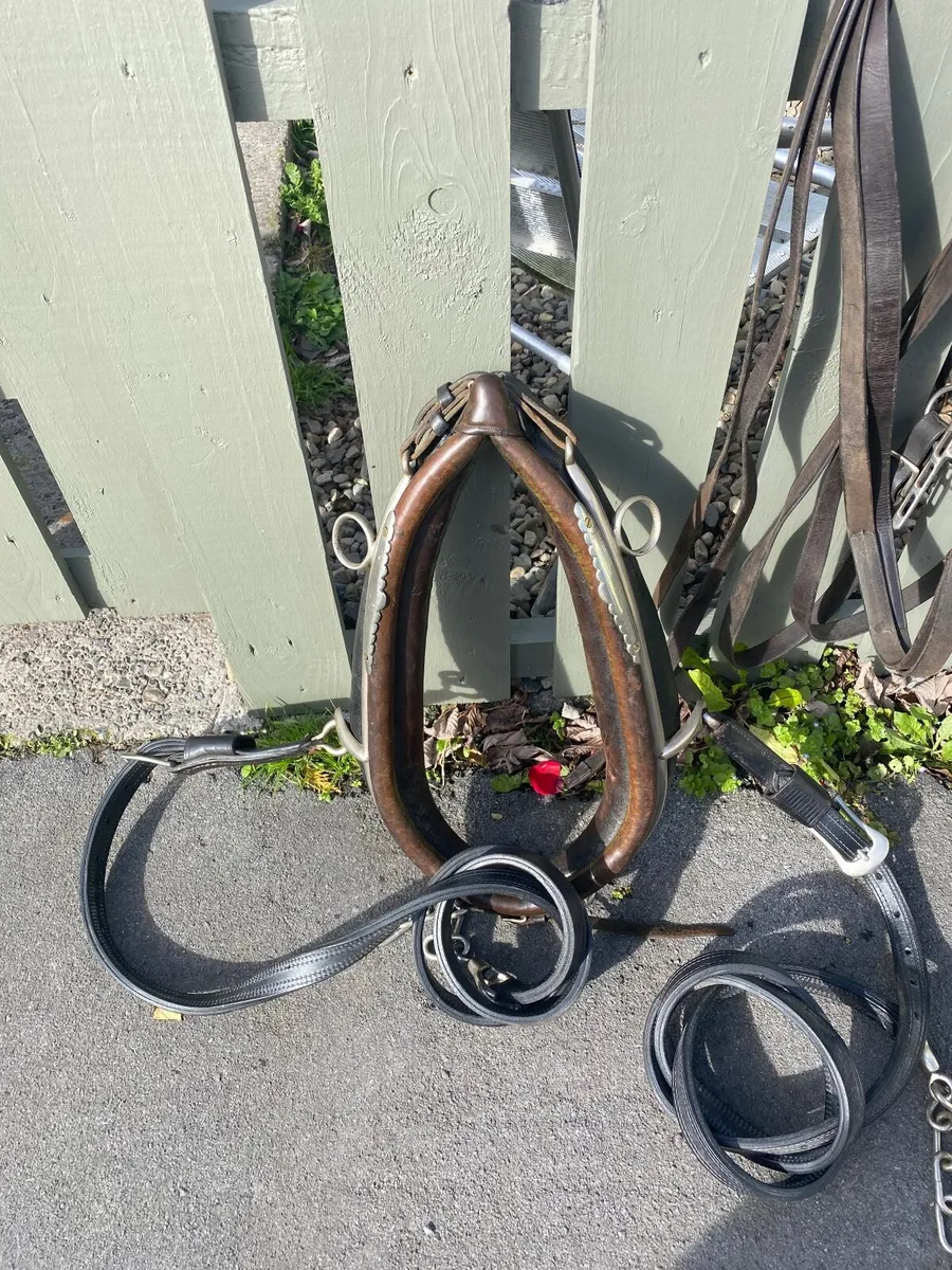 Driveing harness - Image 4