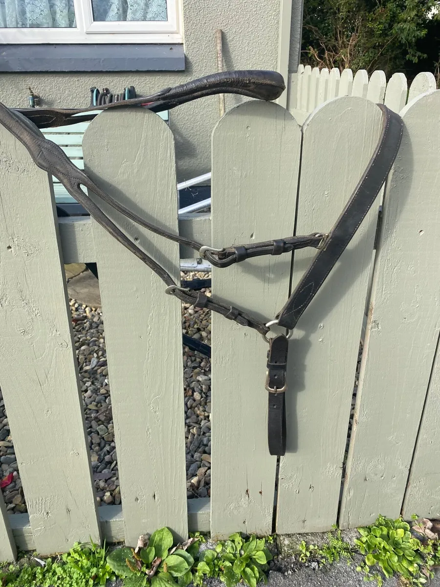Driveing harness - Image 3