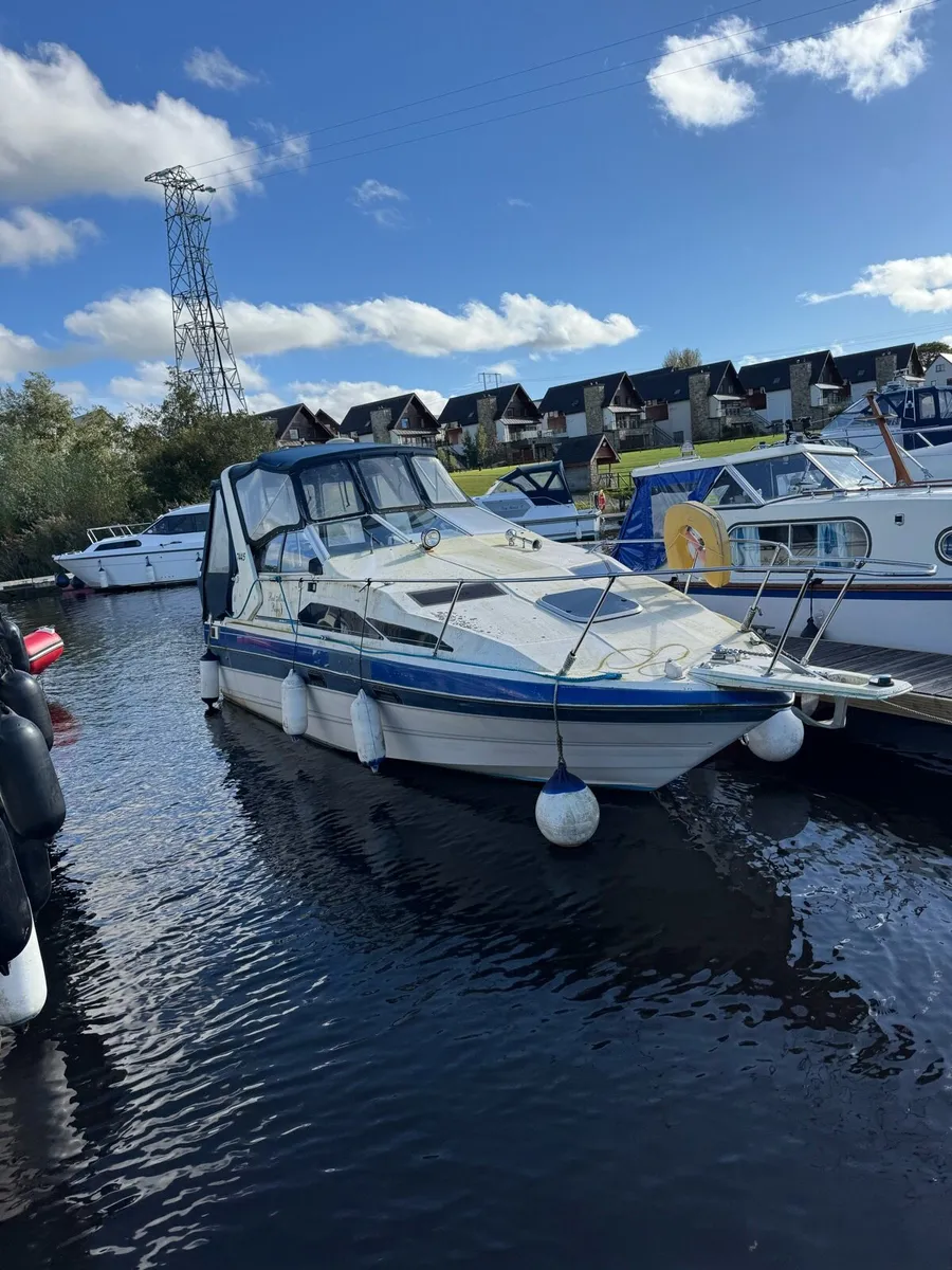 End of Season Project Cruisers for sale - Image 2