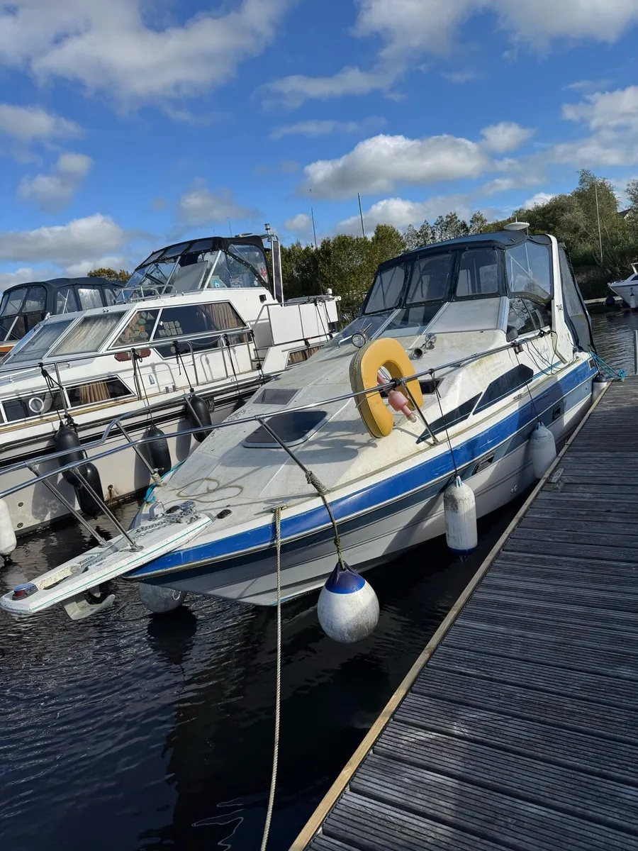 End of Season Project Cruisers for sale - Image 1