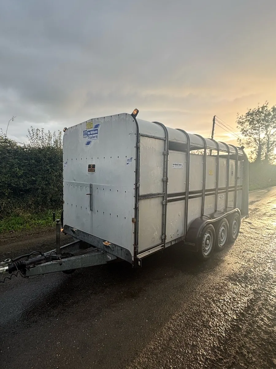 Tri axle cattle trailer - Image 1
