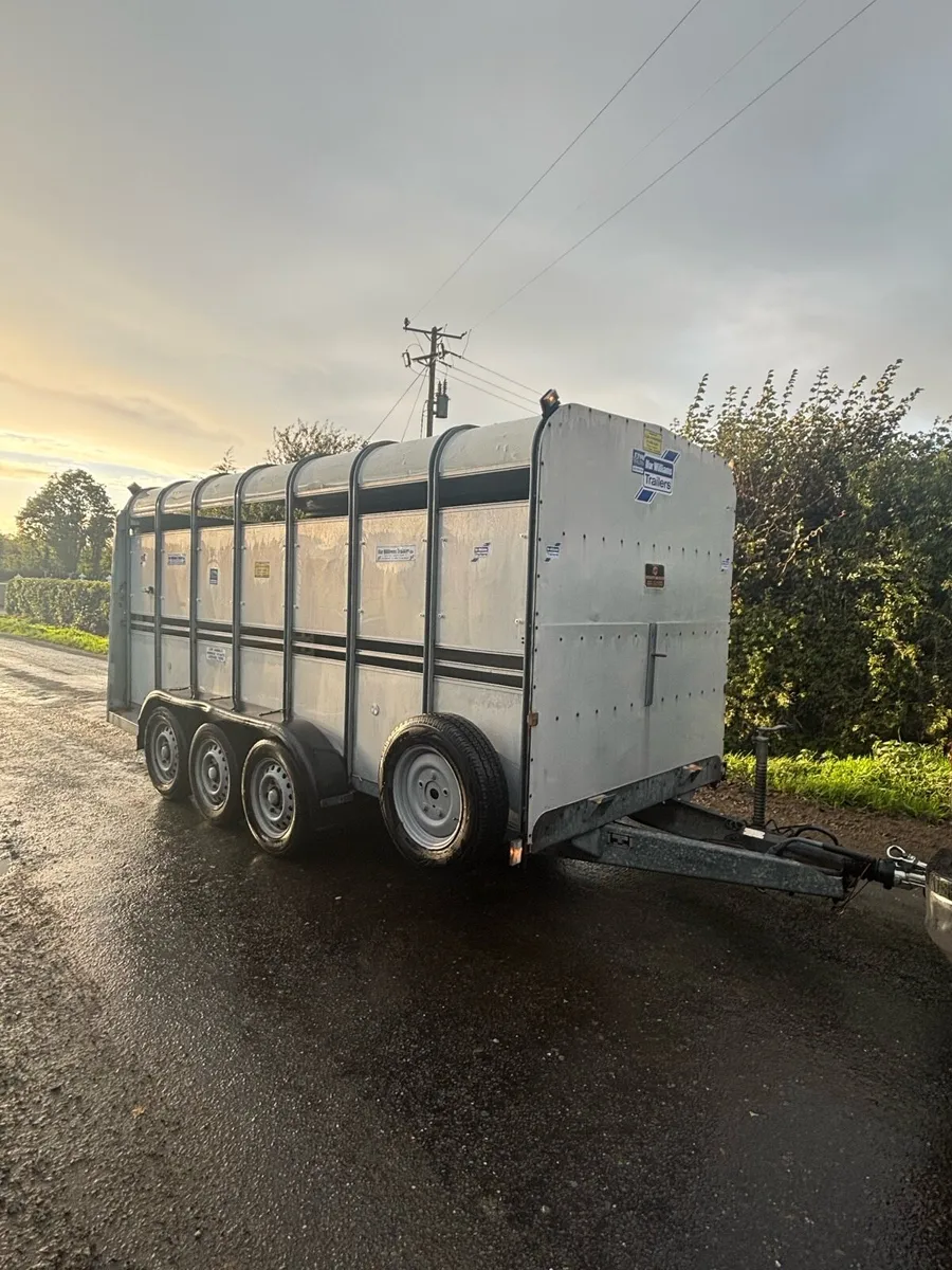 Tri axle cattle trailer - Image 2