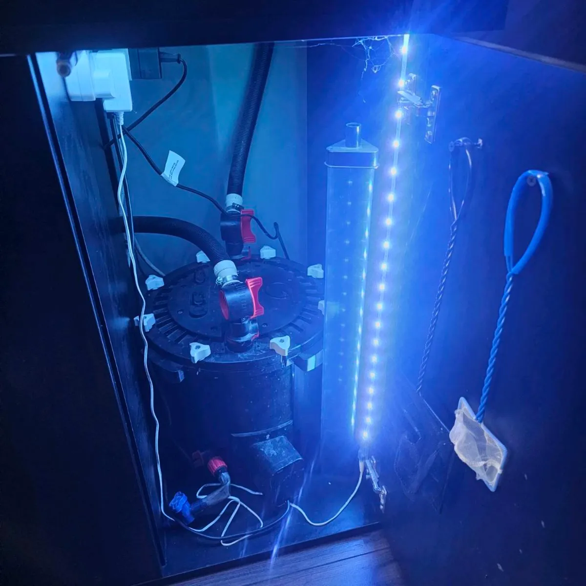 Complete 350L Aquarium Setup – Juwel Tank, Discus, - Image 2