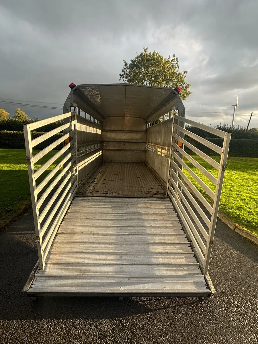 Tri axle cattle trailer - Image 3