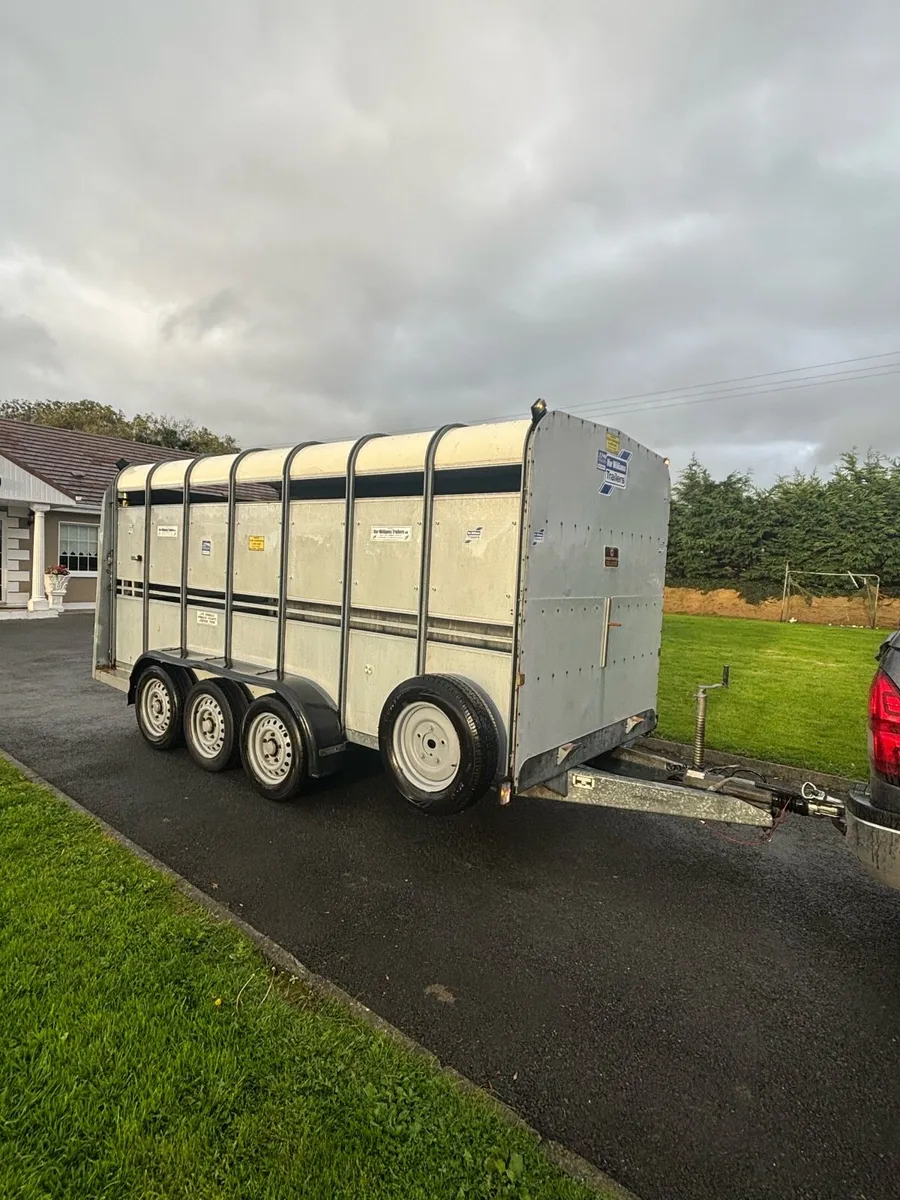 Tri axle cattle trailer - Image 4