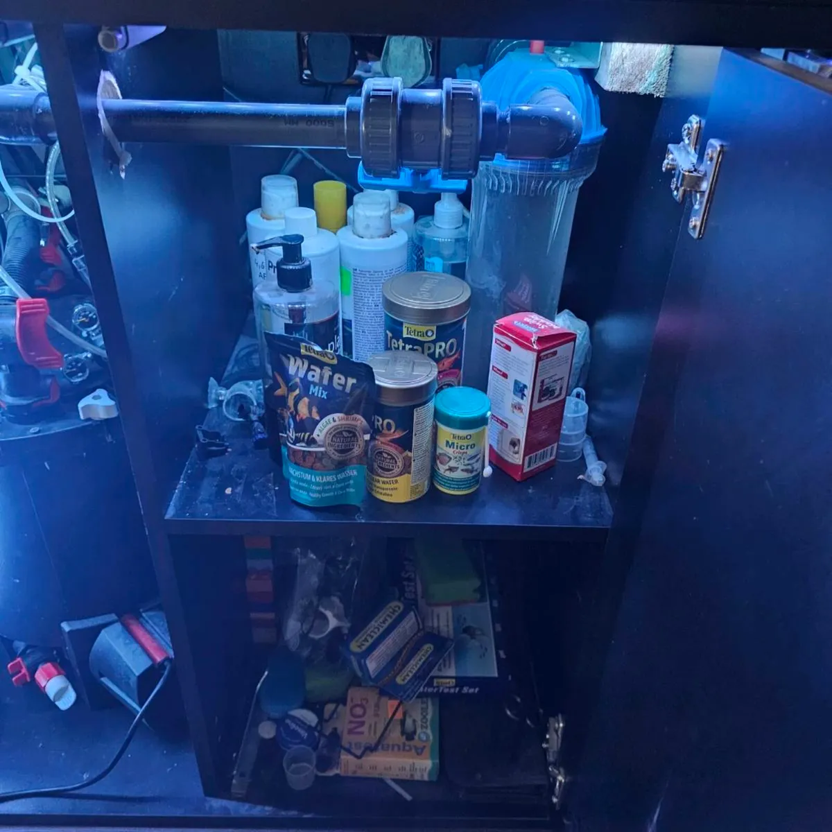 Complete 350L Aquarium Setup – Juwel Tank, Discus, - Image 4
