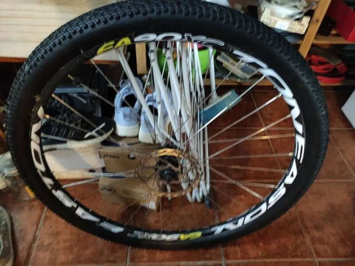 Mountain bike wheel - Image 2