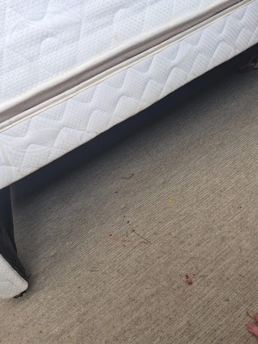 Single Bed With Pull Out Bed Underneath - Image 3