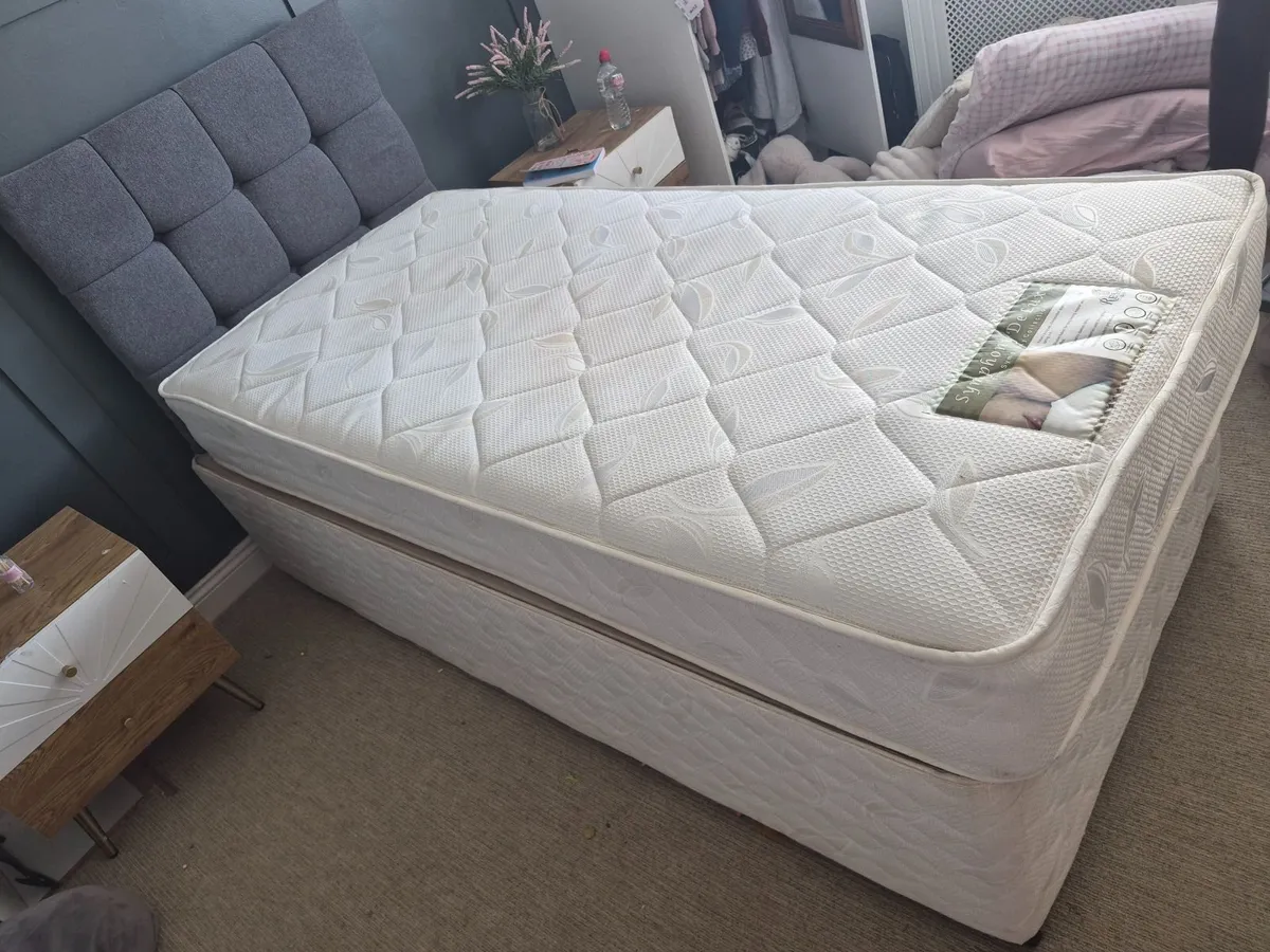 Single Bed With Pull Out Bed Underneath - Image 1
