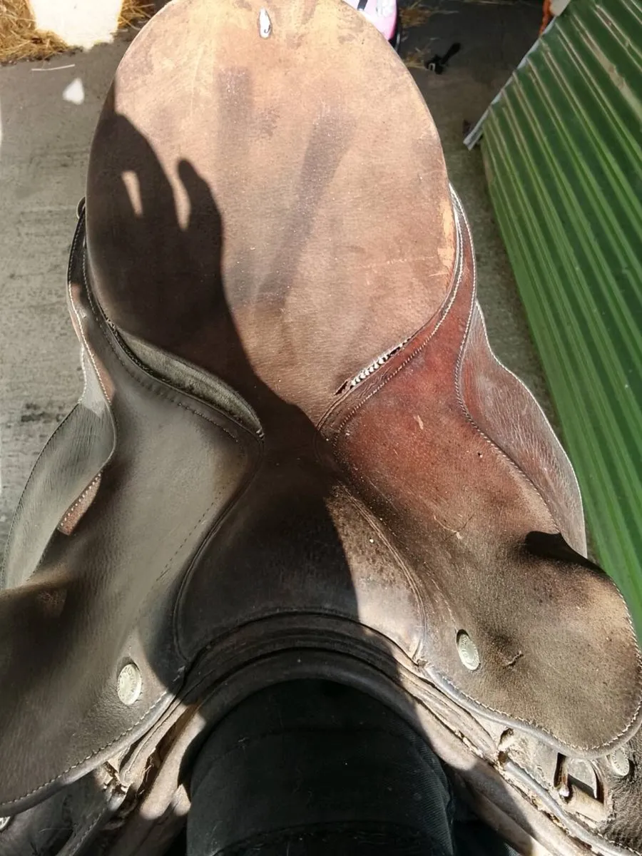 English leather saddle - Image 1