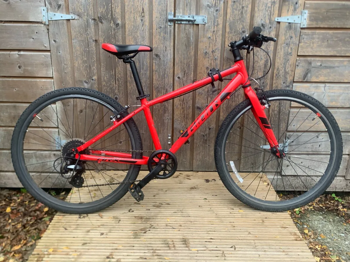 Kids Giant bike - Image 1