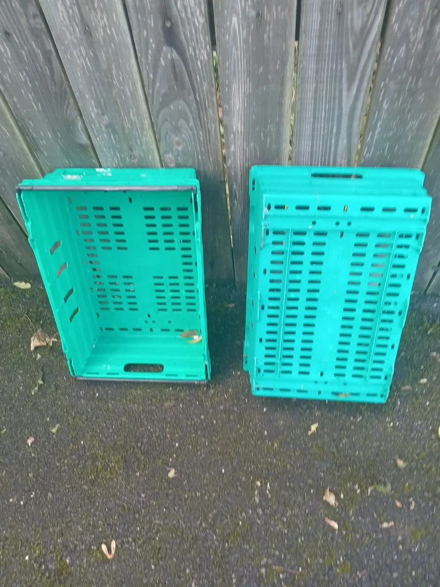 Plastic Crates - Image 1