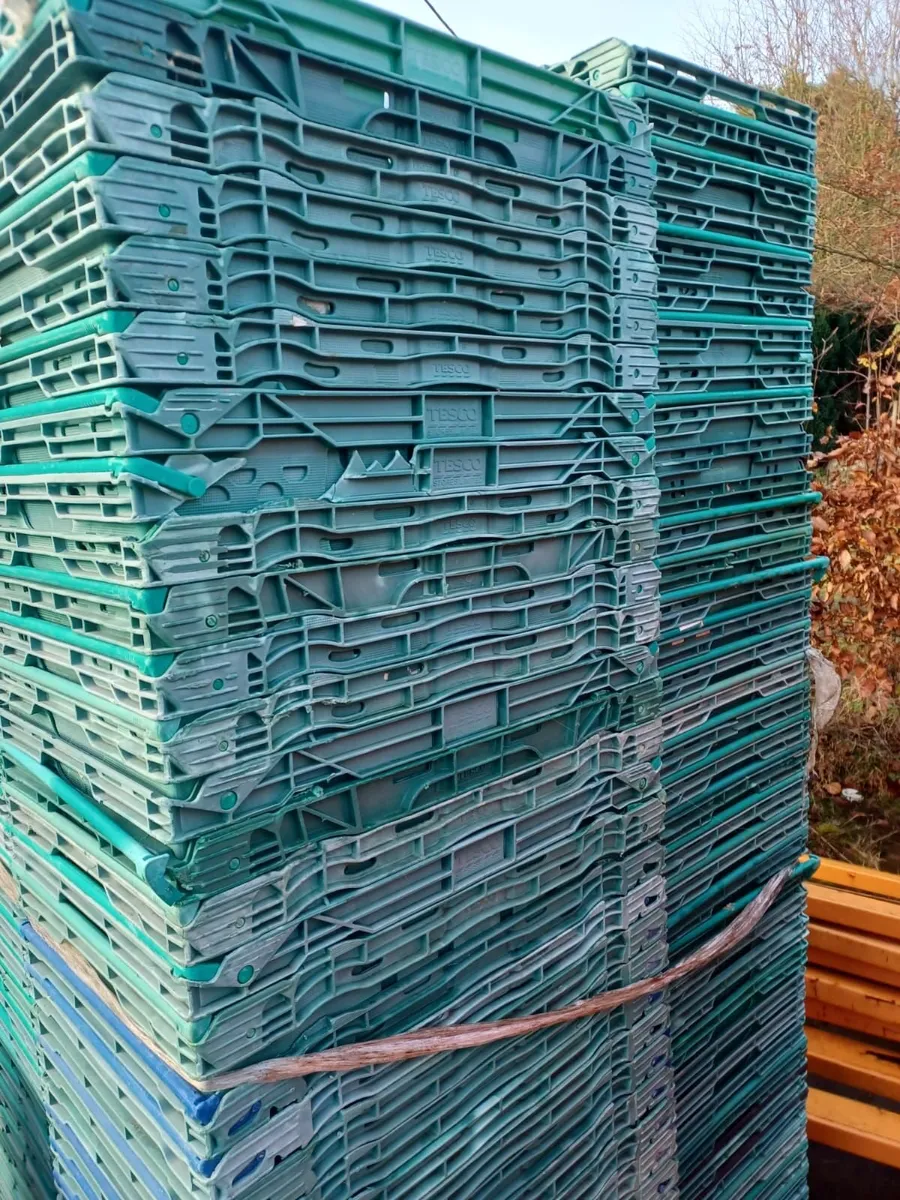 Plastic Crates - Image 2