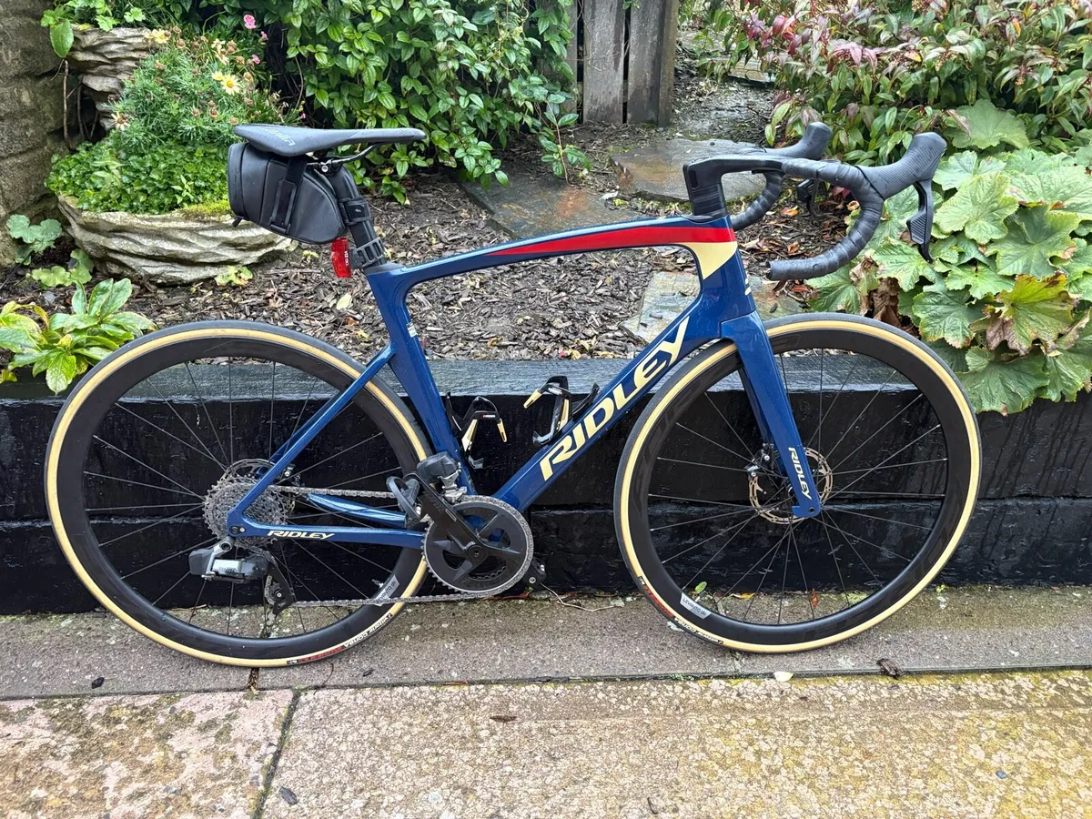 Ridley Noah - Image 2