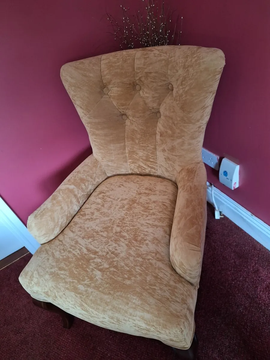 2 Arm chairs - reduced price. - Image 2