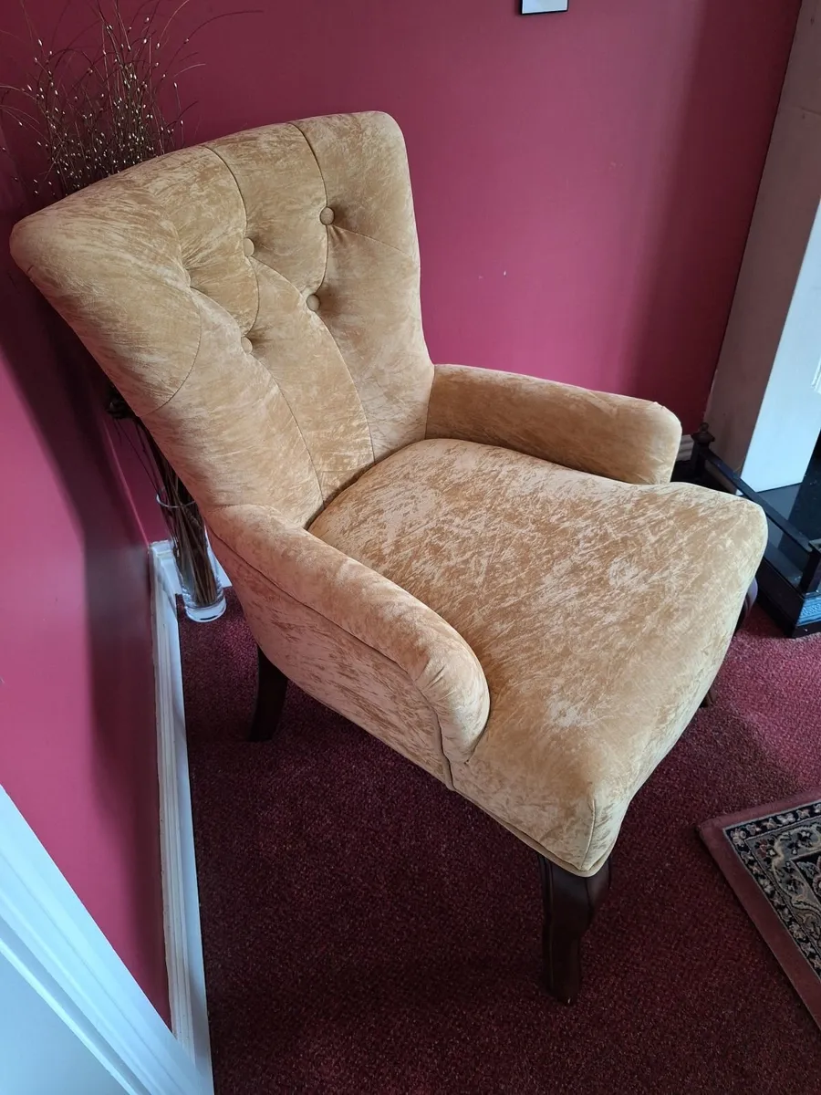 2 Arm chairs - reduced price. - Image 3