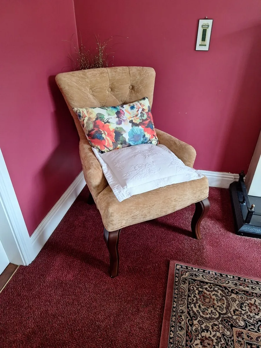 2 Arm chairs - reduced price. - Image 4