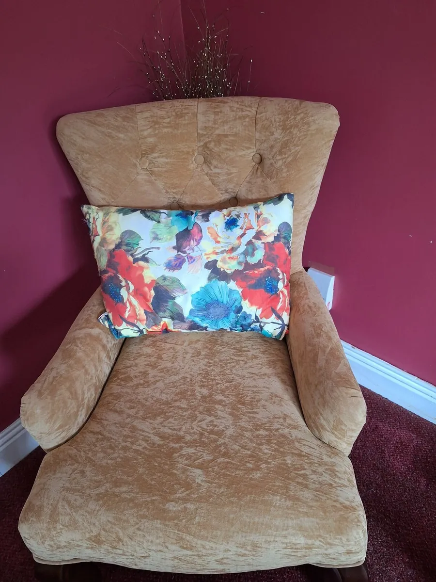 2 Arm chairs - reduced price. - Image 1