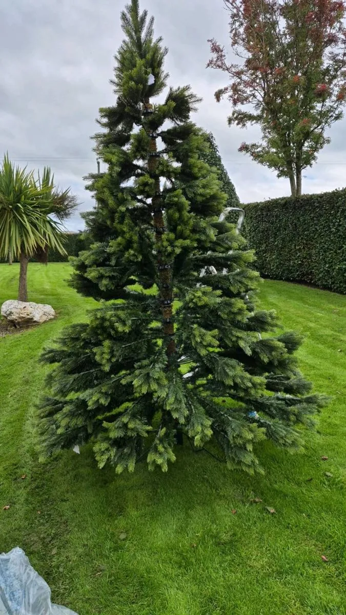 Christmas tree - Image 2