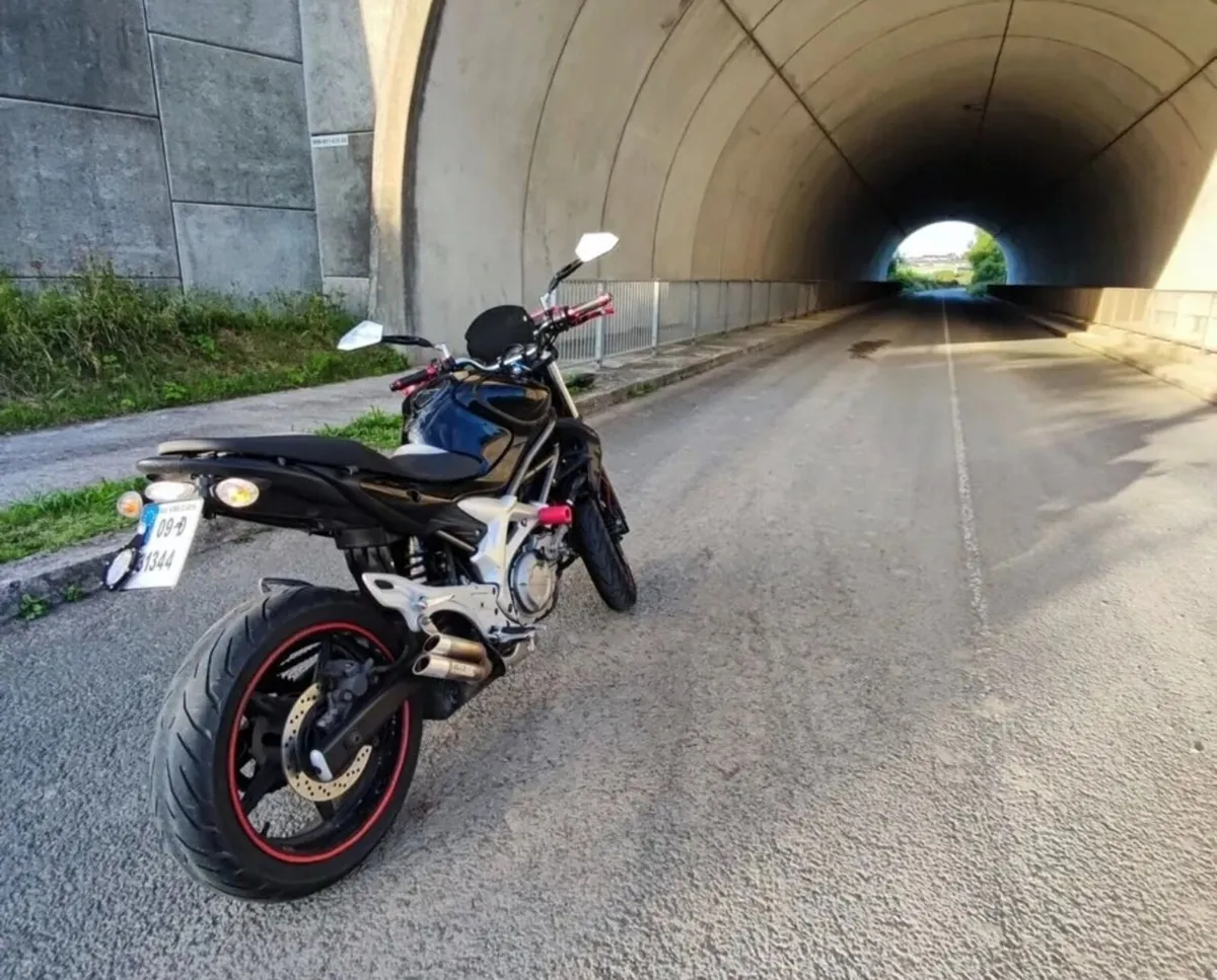 Suzuki SFV650 Gladius – 650cc V-Twin - Image 2