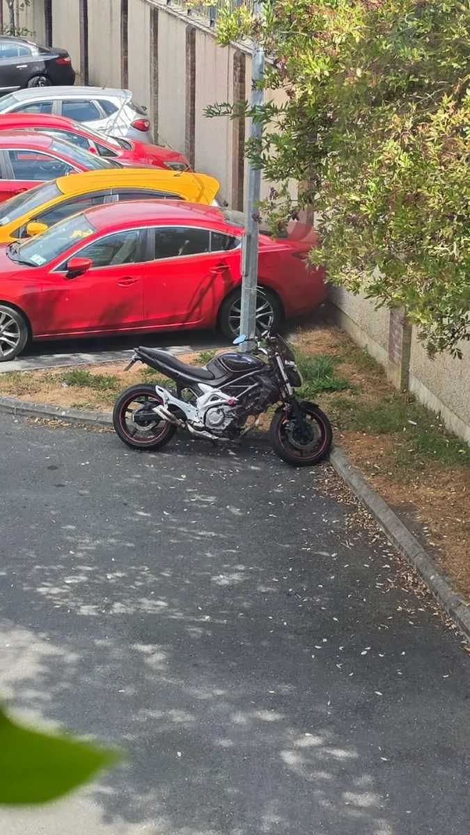 Suzuki SFV650 Gladius – 650cc V-Twin - Image 3