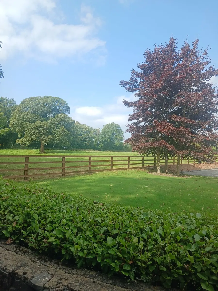 Fencing contractor - Image 4