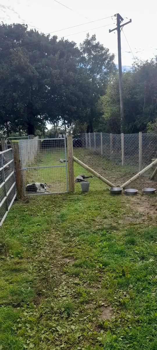 Fencing contractor - Image 3