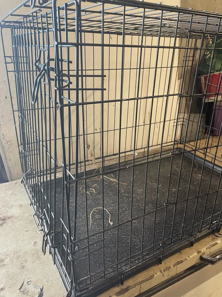 Dog crate - Image 2