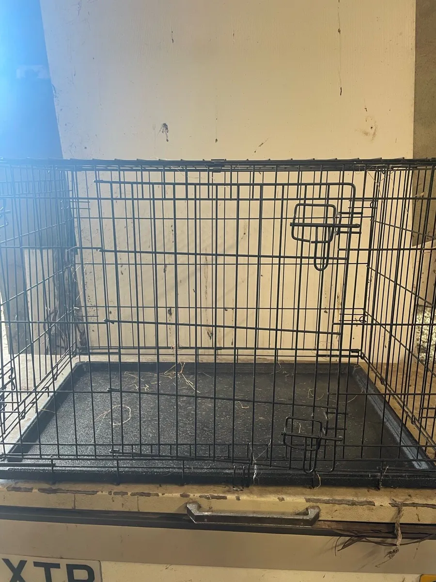 Dog crate - Image 4