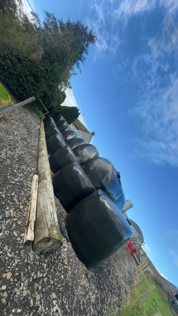 Silage Bales - Image 1